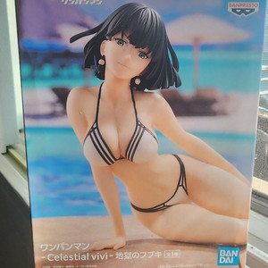 후부키 비키니 피규어