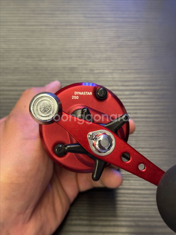 다이와 다이나스타 250 베이트릴(우)--2