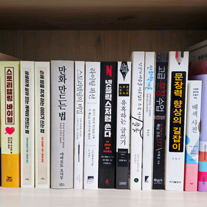 베스트셀러/에세이/자기계발서/작법서/추리 소설 책들