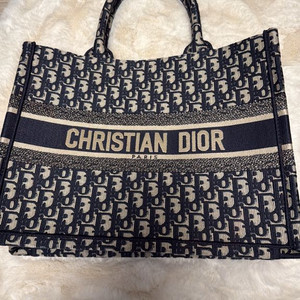 디올 오블리크 북도트백