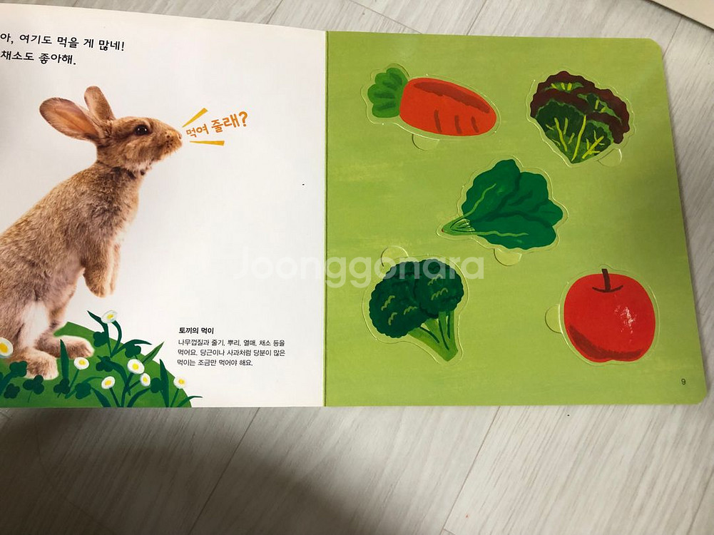그레이트북스 놀라운자연(스티커 미사용)--6