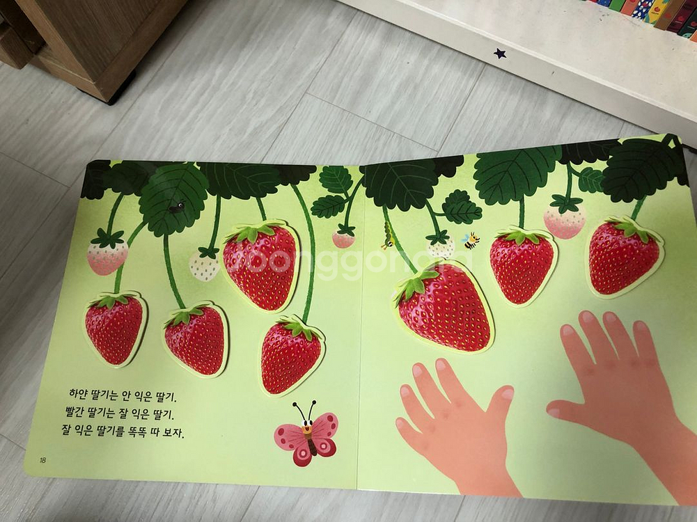그레이트북스 놀라운자연(스티커 미사용)--8