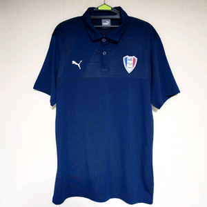 수원 삼성 블루윙즈 2019 푸마 폴로 티셔츠