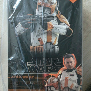 핫토이 코디(미개봉) 팝니다