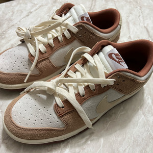 나이키 덩크 커리