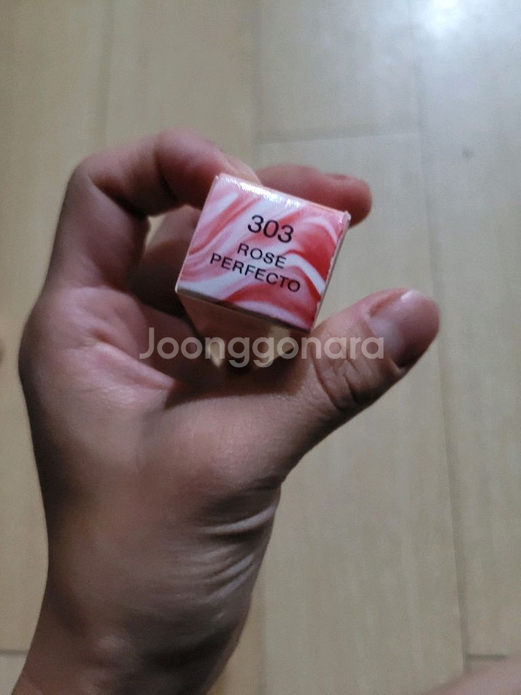 지방시립스틱--4