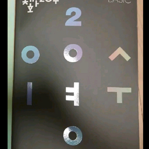 대성 체화20수 베이직 판매