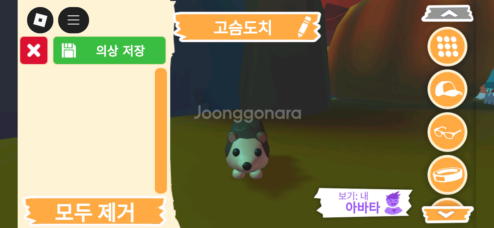입양하세요 펫 고슴도치(도치) 판매합니다--0