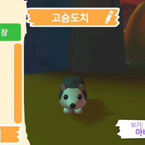 입양하세요 펫 고슴도치(도치) 판매합니다