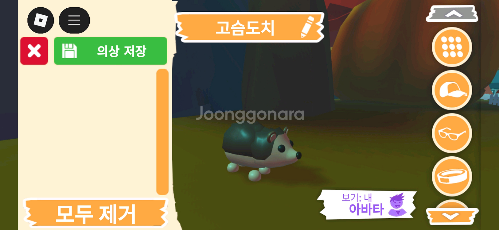 입양하세요 펫 고슴도치(도치) 판매합니다--1