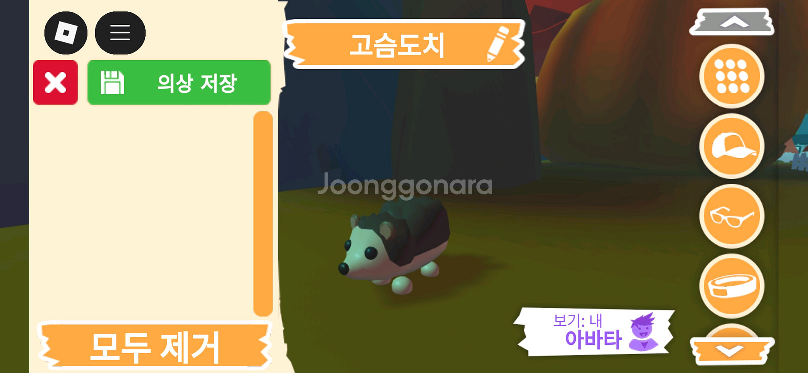 입양하세요 펫 고슴도치(도치) 판매합니다--2