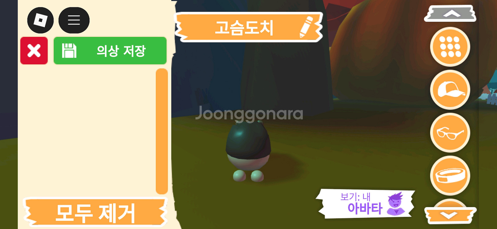 입양하세요 펫 고슴도치(도치) 판매합니다--3