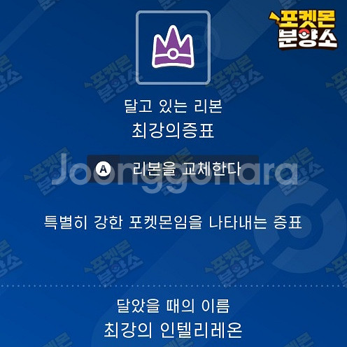 최강의 테라레이드 포켓몬 분양 / 스칼렛 바이올렛--7