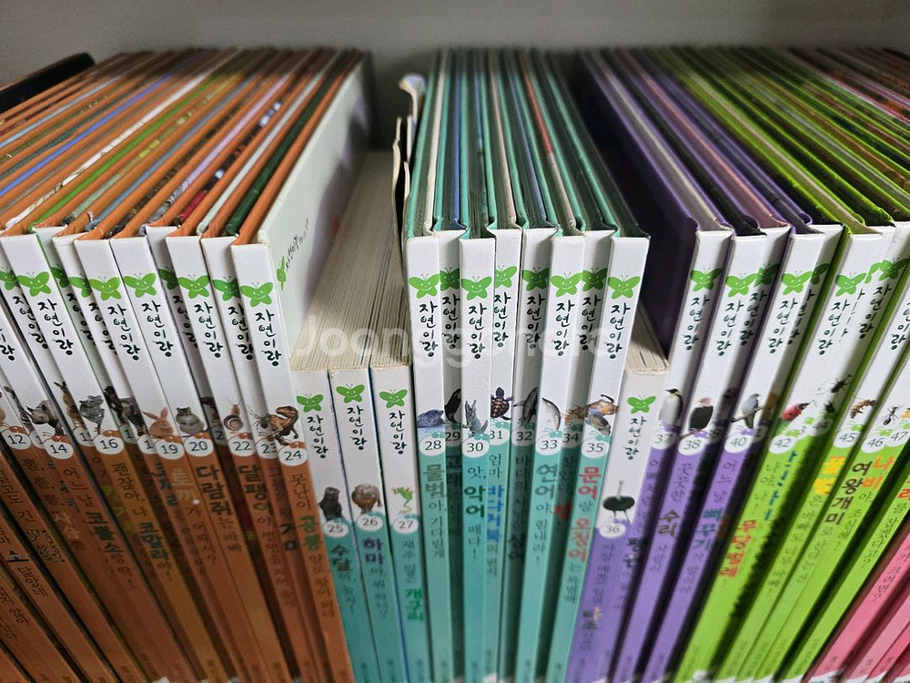 아람 자연이랑 자연관찰 82권--3