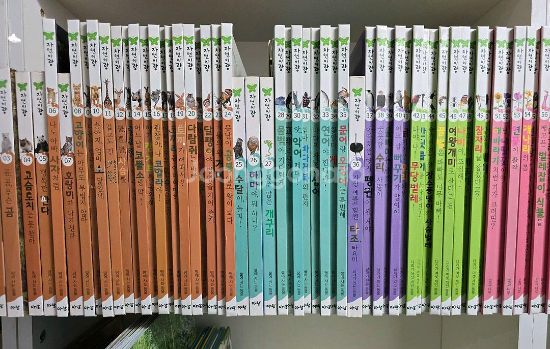 아람 자연이랑 자연관찰 82권--1