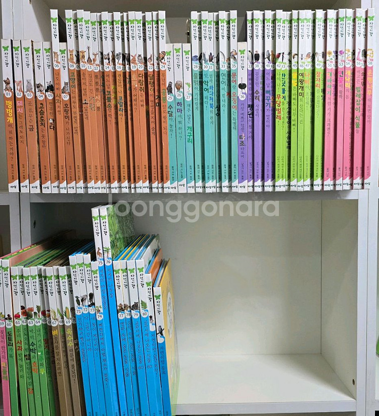 아람 자연이랑 자연관찰 82권--0