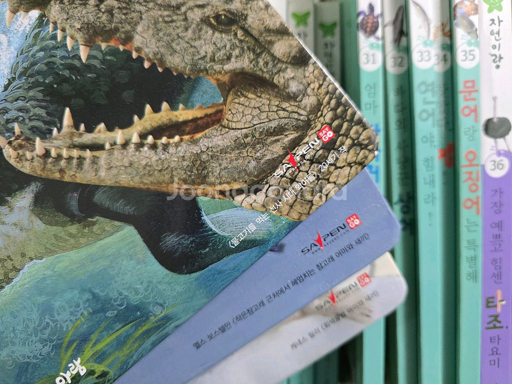 아람 자연이랑 자연관찰 82권--4