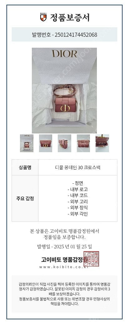 디올 몽테인 크로스백--1