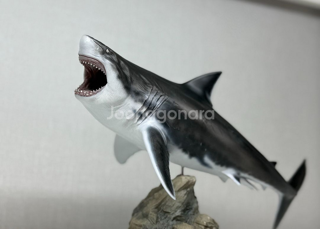 ja스튜디오 메가로돈 피규어 상어 피규어--0