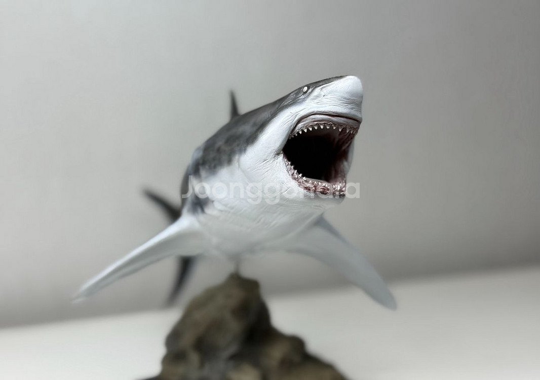 ja스튜디오 메가로돈 피규어 상어 피규어--3