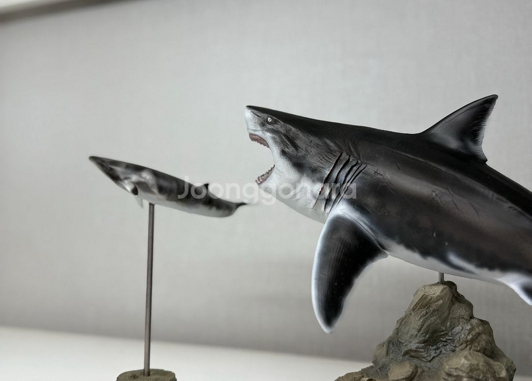 ja스튜디오 메가로돈 피규어 상어 피규어--5