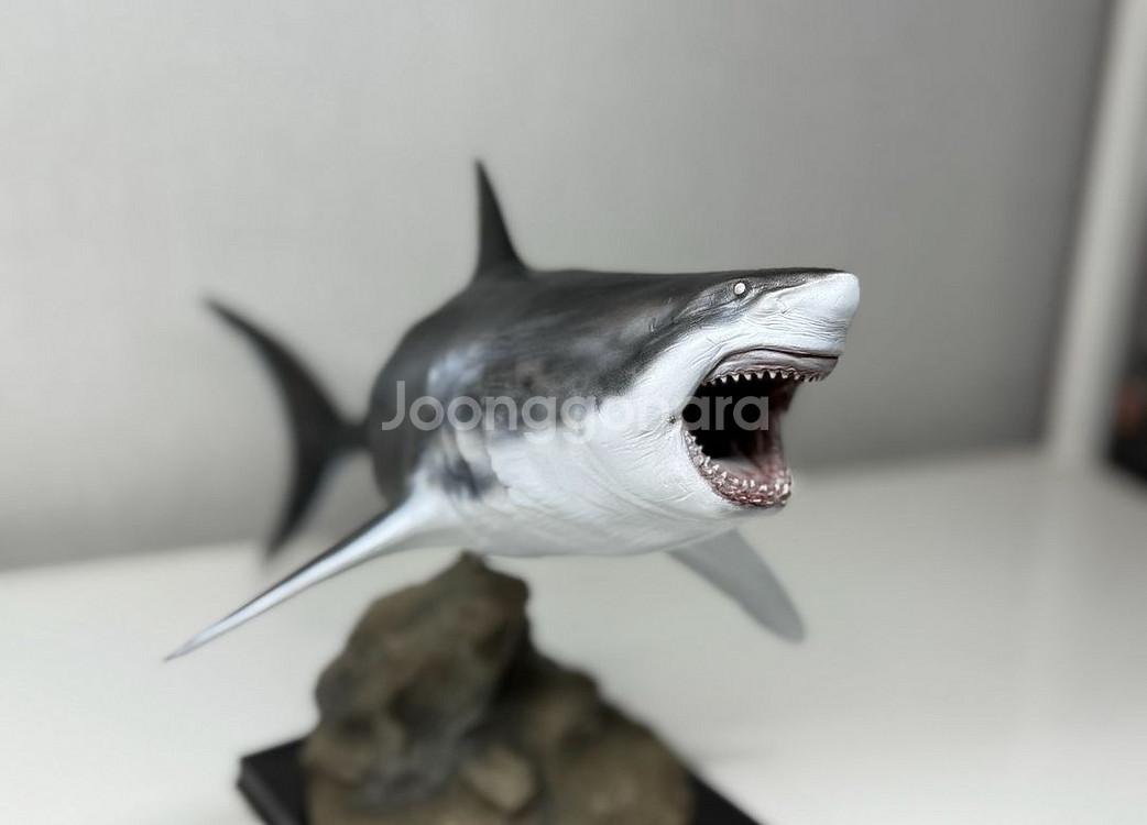 ja스튜디오 메가로돈 피규어 상어 피규어--4