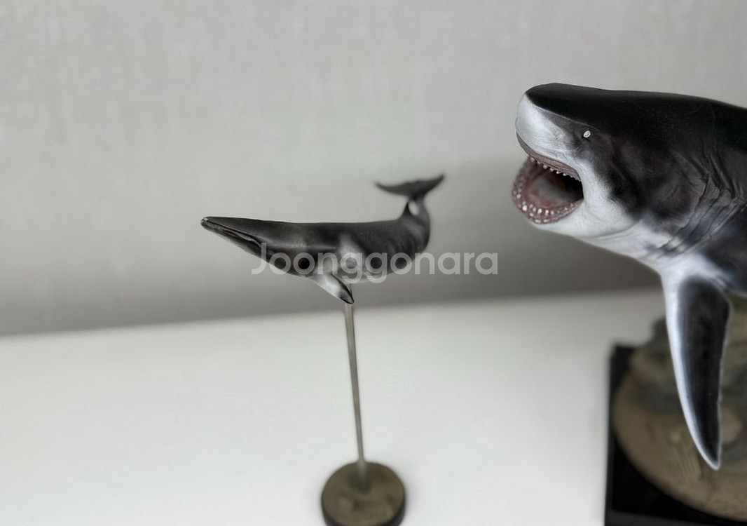 ja스튜디오 메가로돈 피규어 상어 피규어--7