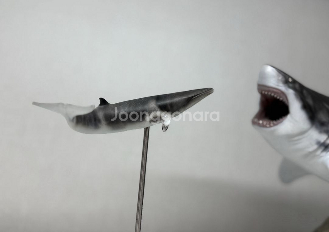 ja스튜디오 메가로돈 피규어 상어 피규어--6
