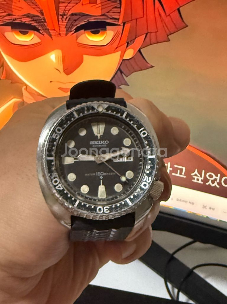 6309-7040 터틀 빈티지--2