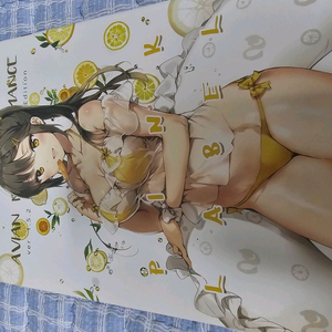 2017.8 안미 일러스트집 친필싸인 포함 팝니다.