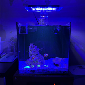 (부산) 마린코스트 oz35 gen3