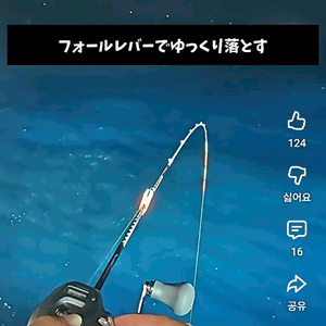 세피아리미티드 uk-b62-gs 한치 이카메탈 윤성