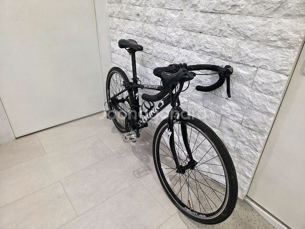 알톤 벨룩스 주니어 로드 24인치(에스웍 데칼)--2