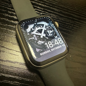 애플워치4 스틸 실버 44mm gps