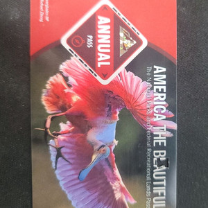 국립공원 애뉴얼패스