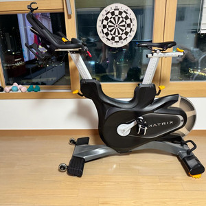 매트릭스 스핀사이클,실내자전거 cxp