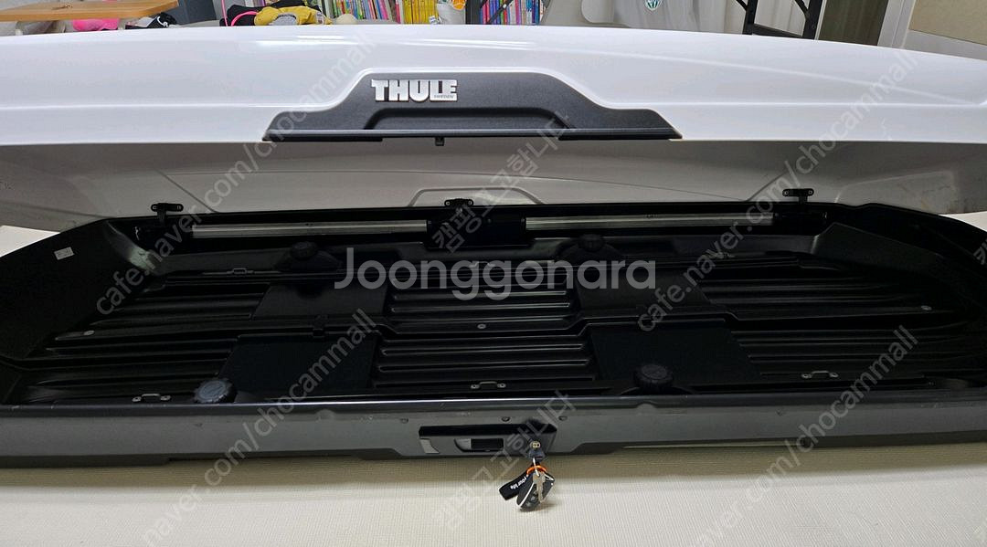 툴레 모션 XT 알파인 화이트 루프박스--2
