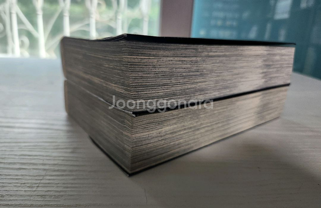 [소장용만화책] 명탐정 코난 VS검은 조직의 남자들2권--1