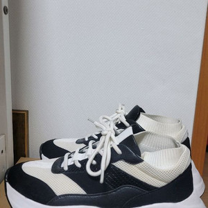 페드로 운동화 240