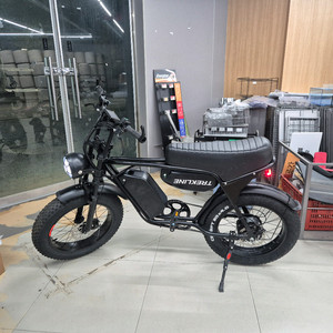 자토바이 전기자전거 48v 500w 38ah