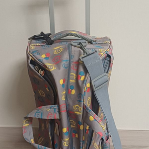 폴프랭크 기내용 캐리어