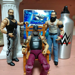 wwe 브레이 와이어트 패밀리