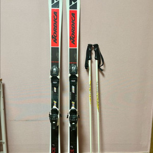 노르디카 주니어용 스키 140