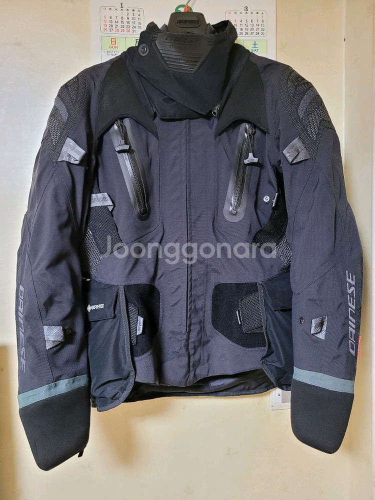 다이네즈 안타티카 고어텍스 54--0