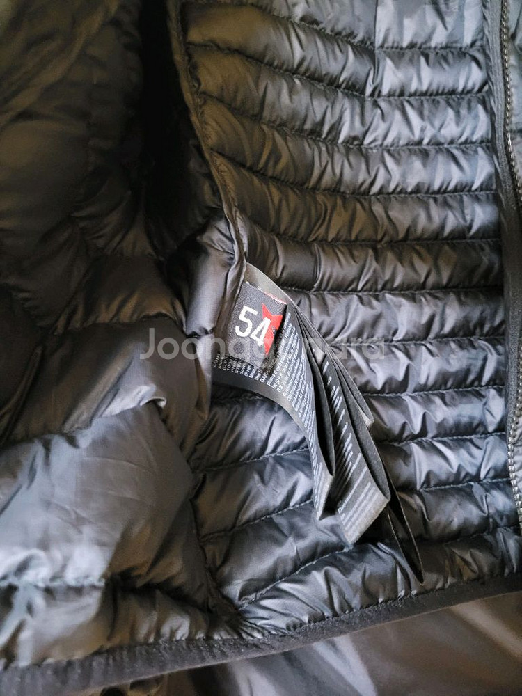 다이네즈 안타티카 고어텍스 54--8