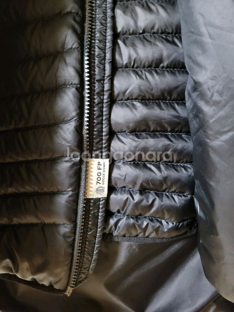 다이네즈 안타티카 고어텍스 54--7