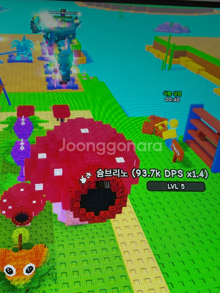 플랜츠대 브레인롯--0