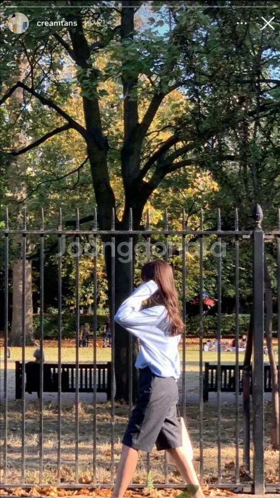 타낫 버뮤다쇼츠 택있는 새상품 판매--1