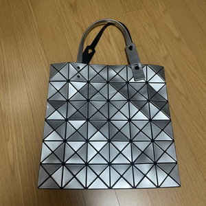 바오바오 실버백