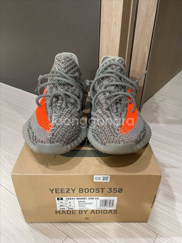 이지부스트 벨루가 리플렉티브 255--1